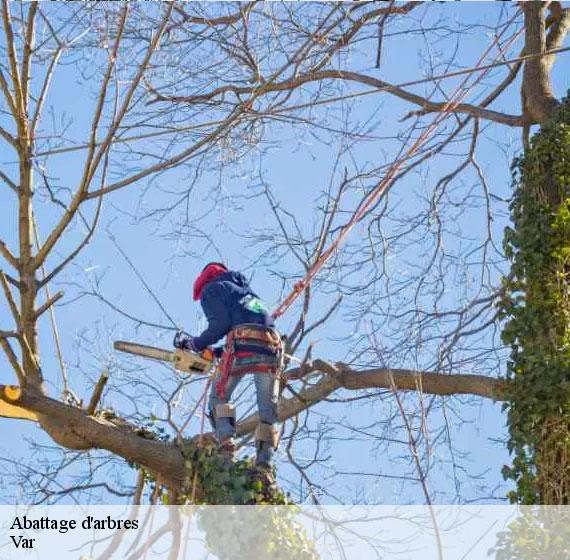 Abattage d'arbres Var