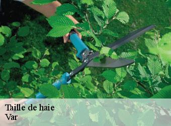 Taille de haie Var