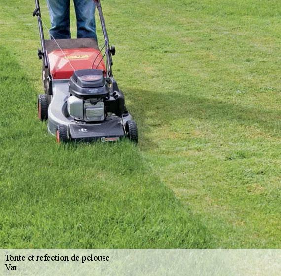 Tonte et refection de pelouse Var