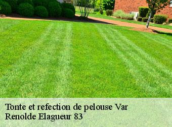 Tonte et refection de pelouse 83 Var  Renolde Elagueur 83
