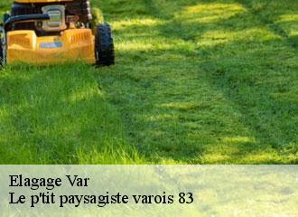 Elagage 83 Var Le p'tit paysagiste varois 83