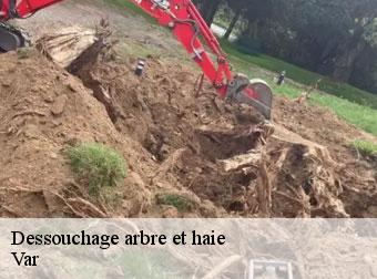Déssouchage