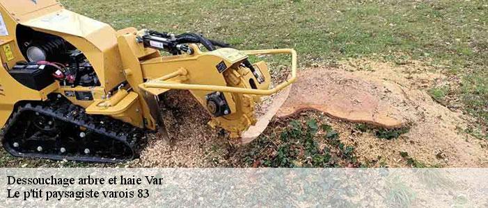 Dessouchage arbre et haie Var 