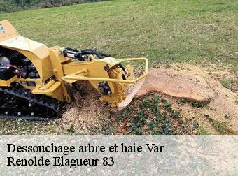 Dessouchage arbre et haie Var