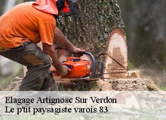 Elagage  artignosc-sur-verdon-83630 Le p'tit paysagiste varois 83
