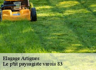 Elagage artigues-83560 Le p'tit paysagiste varois 83