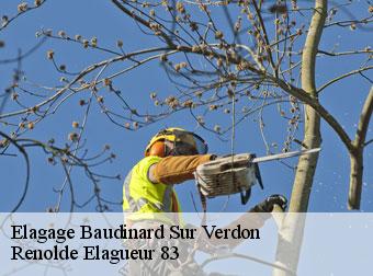 Elagage 83630