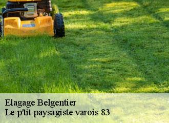 Elagage  belgentier-83210 Le p'tit paysagiste varois 83 