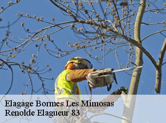 Elagage 83230