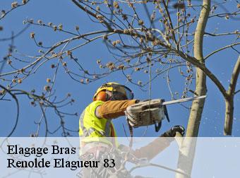 Elagage  83149