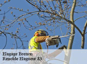 Elagage  83840