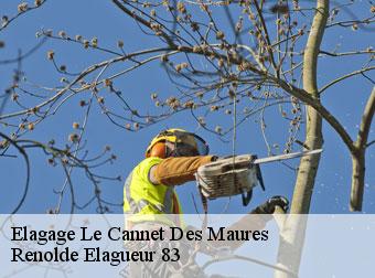 Elagage 83340