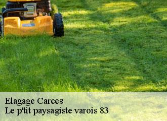 Elagage carces-83570 Le p'tit paysagiste varois 83