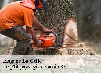 Elagage  la-celle-83170 Le p'tit paysagiste varois 83