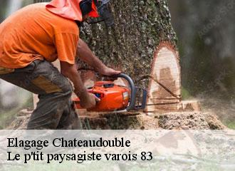 Elagage  chateaudouble-83300 Le p'tit paysagiste varois 83