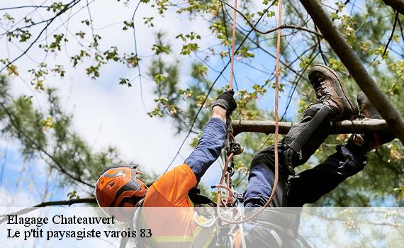 Elagage  83670