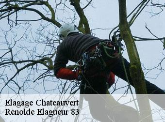 Elagage chateauvert-83670 Renolde Elagueur 83