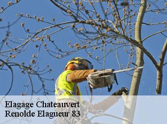 Elagage 83670