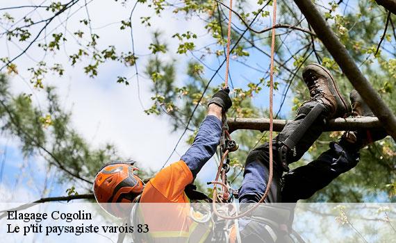 Elagage  83310