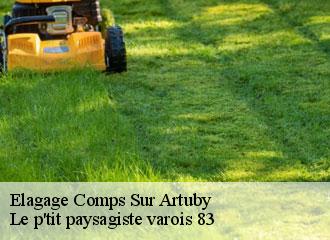 Elagage comps-sur-artuby-83840 Le p'tit paysagiste varois 83