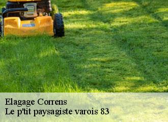 Elagage correns-83570 Le p'tit paysagiste varois 83