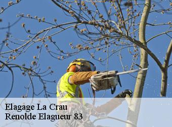 Elagage 83260