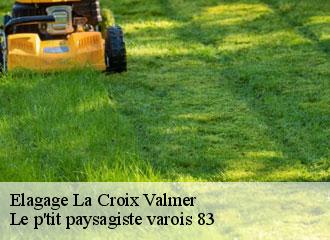 Elagage la-croix-valmer-83420 Le p'tit paysagiste varois 83