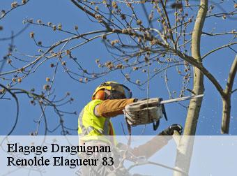 Elagage 83300