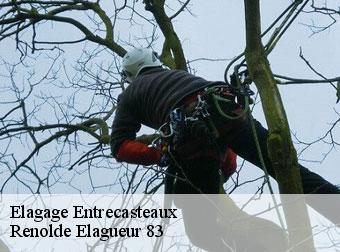 Elagage entrecasteaux-83570 Renolde Elagueur 83