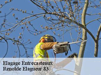 Elagage 83570
