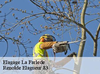 Elagage 83210