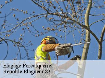 Elagage  83136
