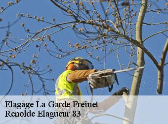 Elagage  83680