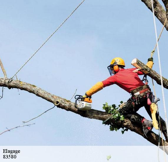 Elagage  83580