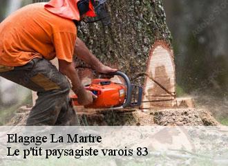 Elagage  la-martre-83840 Le p'tit paysagiste varois 83