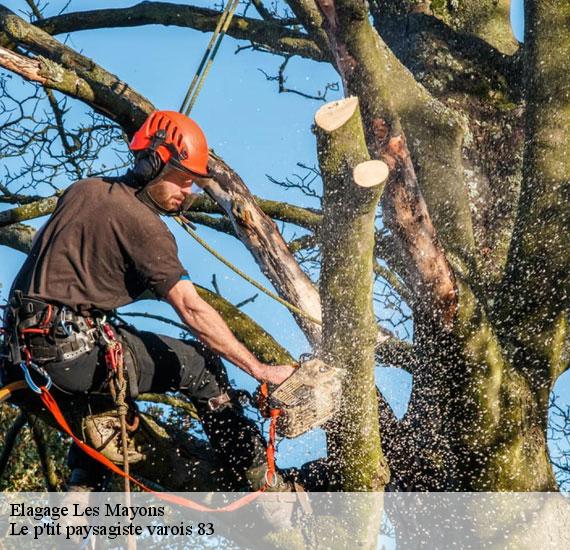 Elagage  83340