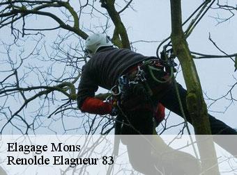 Elagage mons-83440 Renolde Elagueur 83