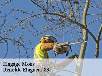Elagage 83440