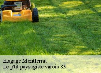 Elagage montferrat-83131 Le p'tit paysagiste varois 83