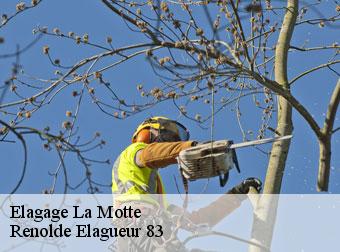 Elagage 83920