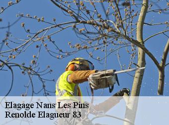 Elagage 83860