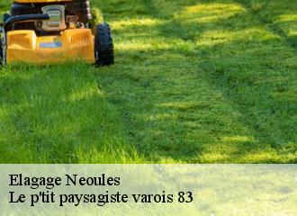 Elagage neoules-83136 Le p'tit paysagiste varois 83