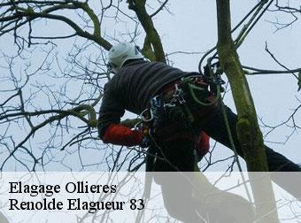 Elagage ollieres-83470 Renolde Elagueur 83