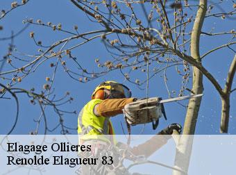 Elagage 83470