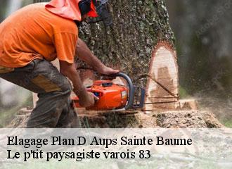Elagage  plan-d-aups-sainte-baume-83640 Le p'tit paysagiste varois 83