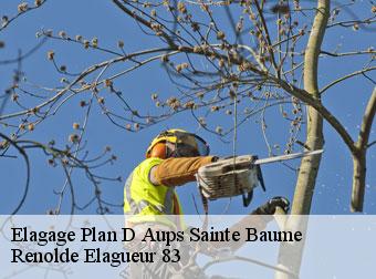 Elagage 83640