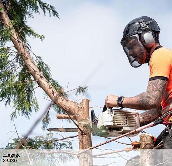 Elagage  83480