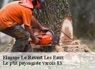 Elagage  le-revest-les-eaux-83200 Le p'tit paysagiste varois 83
