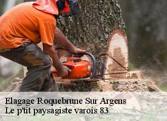 Elagage roquebrune-sur-argens-83520 Le p'tit paysagiste varois 83