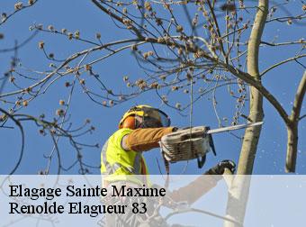 Elagage 83120